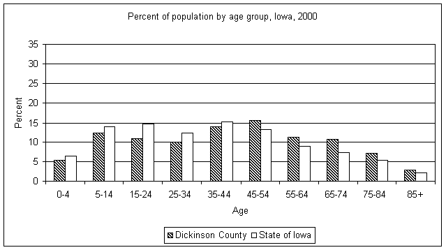 Dickinson County age graph